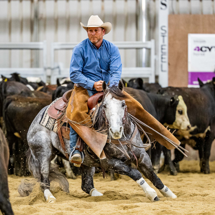 NCHA Banner