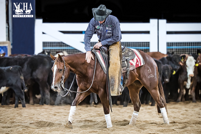 NCHA Banner