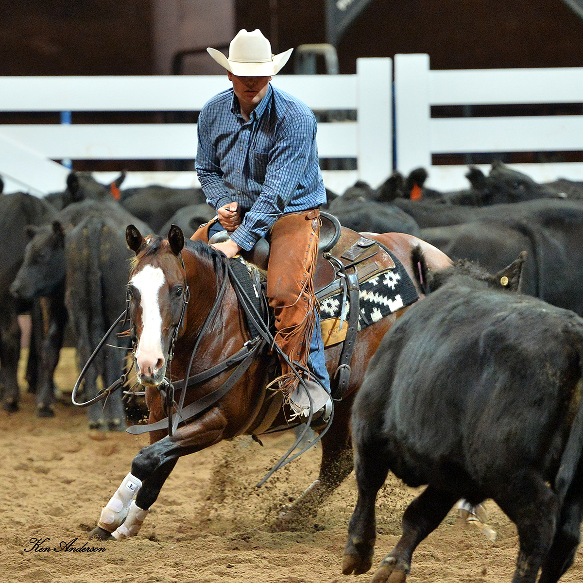 NCHA Banner