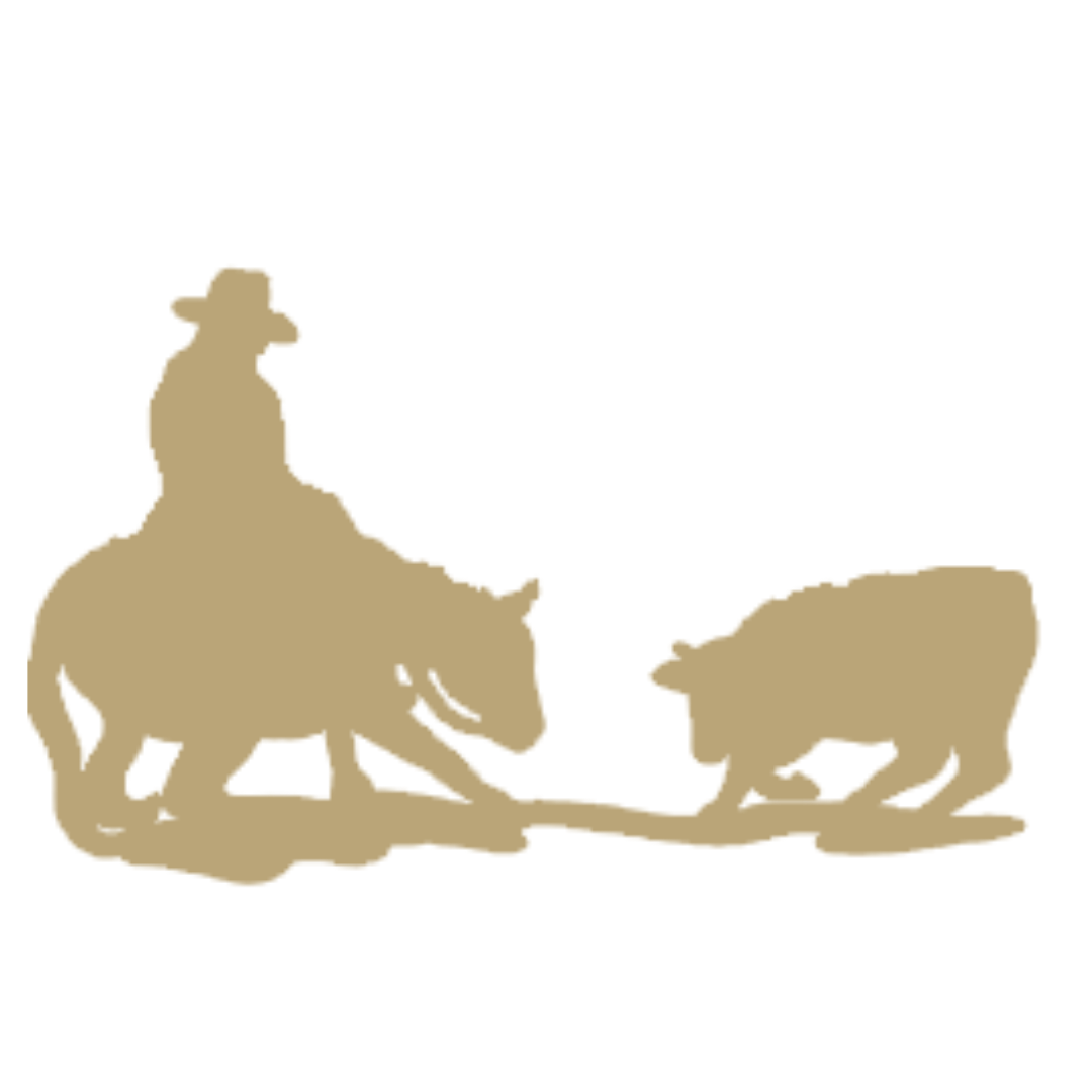 NCHA Banner