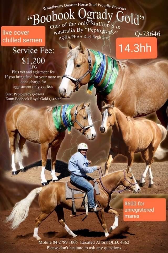 NCHAYA ONLINE STALLION SERVICE AUCTION National Cutting Horse