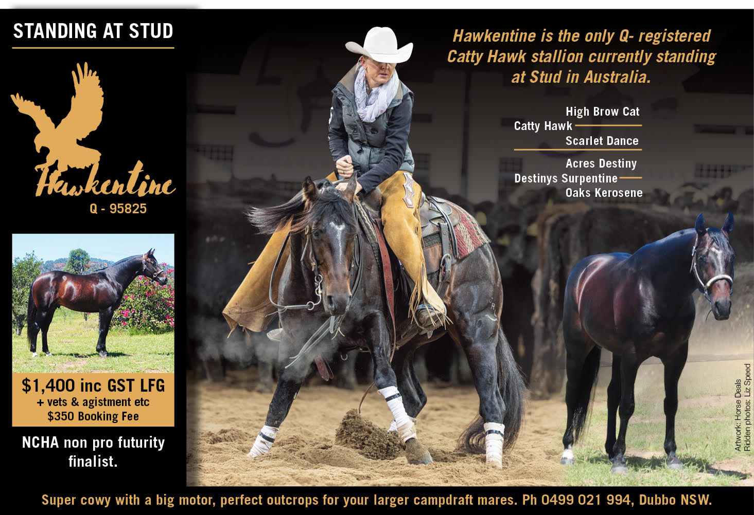 NCHAYA ONLINE STALLION SERVICE AUCTION National Cutting Horse